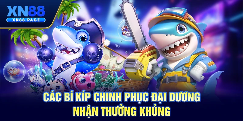Các bí kíp chinh phục đại dương nhận thưởng khủng Các bí kíp chinh phục đại dương nhận thưởng khủng
