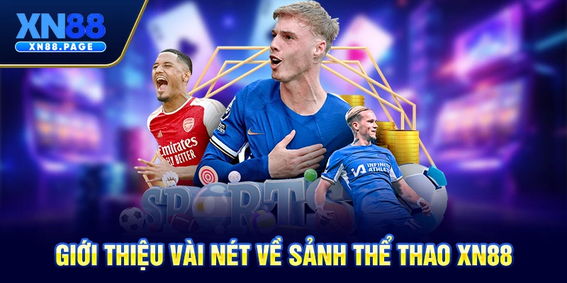Giới thiệu vài nét về sảnh thể thao XN88 Giới thiệu vài nét về sảnh thể thao XN88