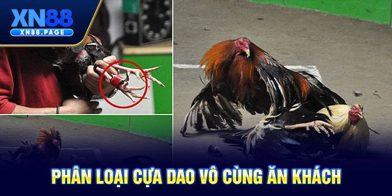 Phân loại cựa dao vô cùng ăn khách Phân loại cựa dao vô cùng ăn khách