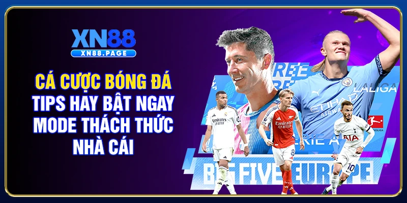 Cá Cược Bóng Đá - Tips Hay Bật Ngay Thách Thức Nhà Cái 2026