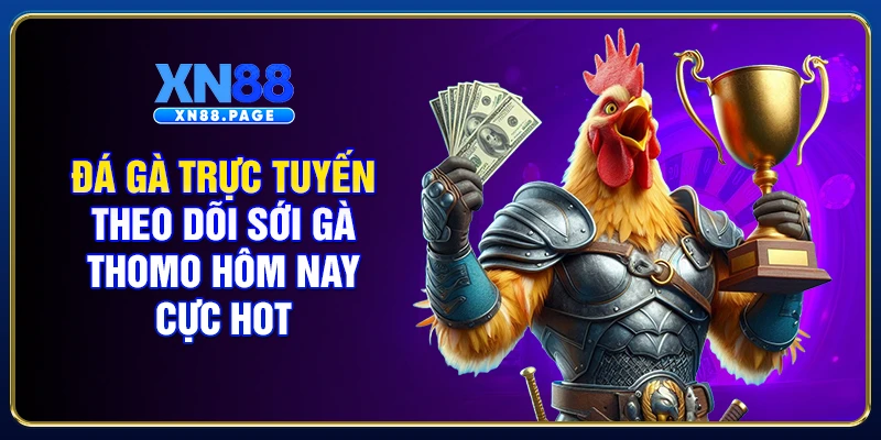Đá Gà Trực Tuyến - Theo Dõi Sới Gà Thomo Hôm Nay HOT 2026
